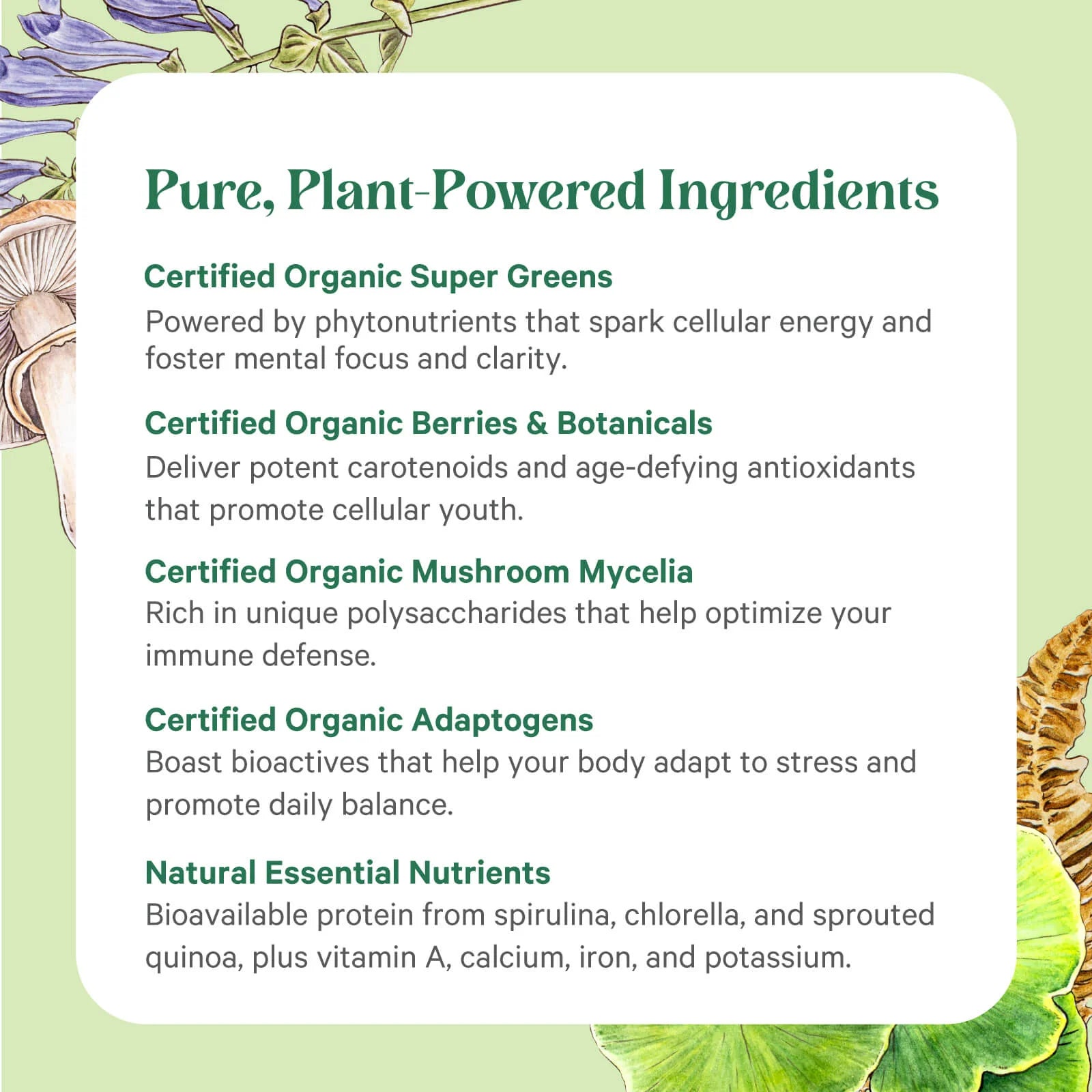 Pure Synergy® Organic Superfood Capsules