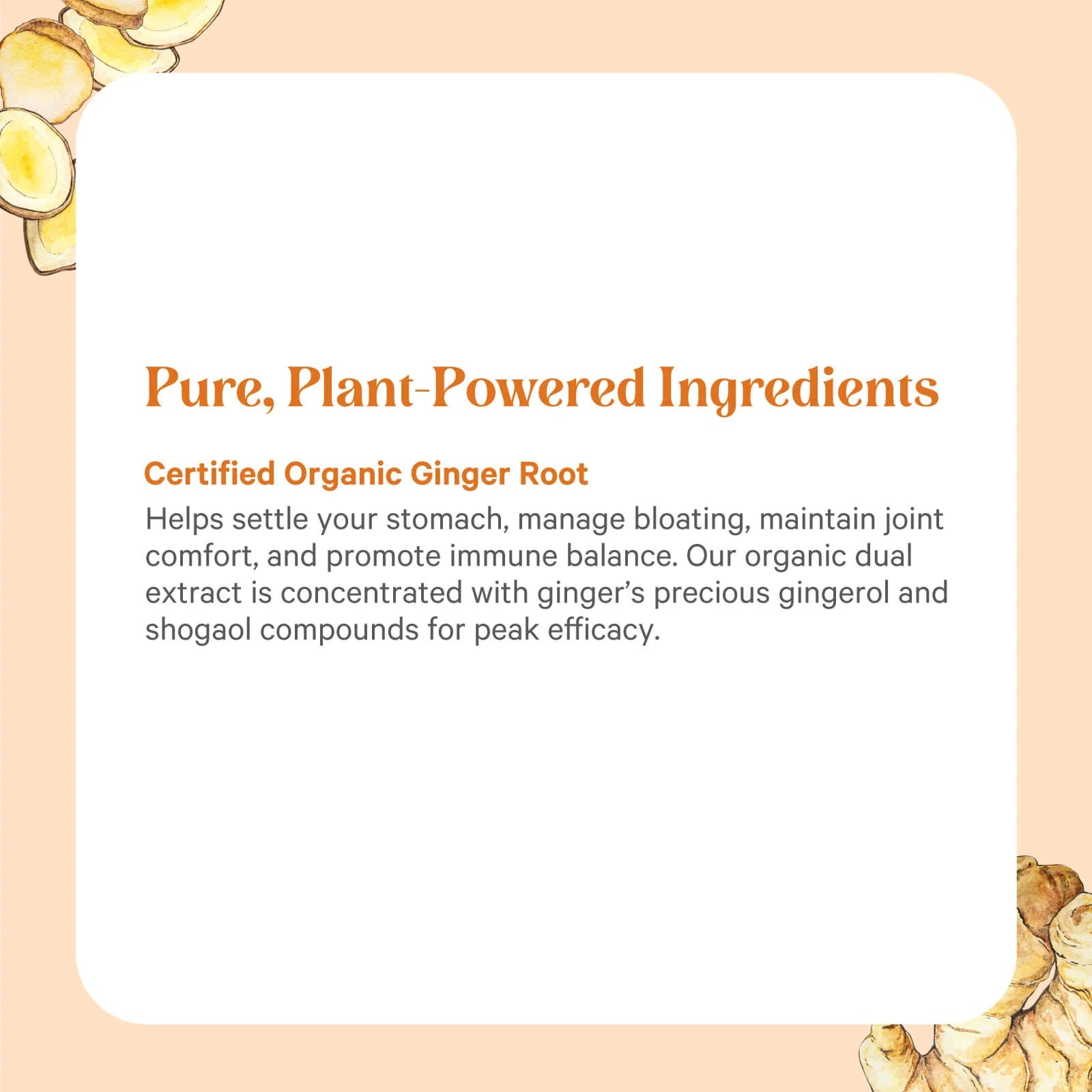 SuperPure® Ginger Extract
