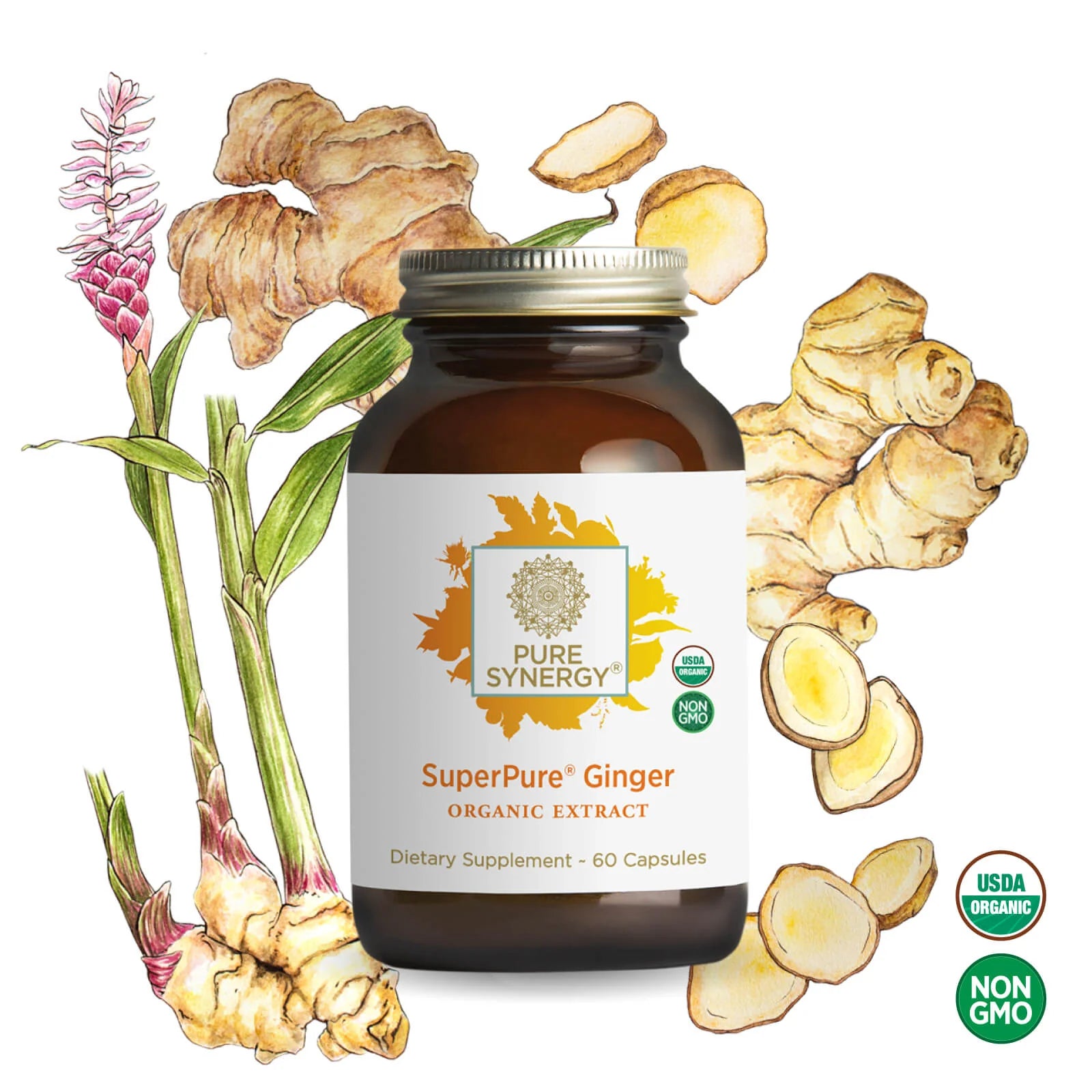 SuperPure® Ginger Extract
