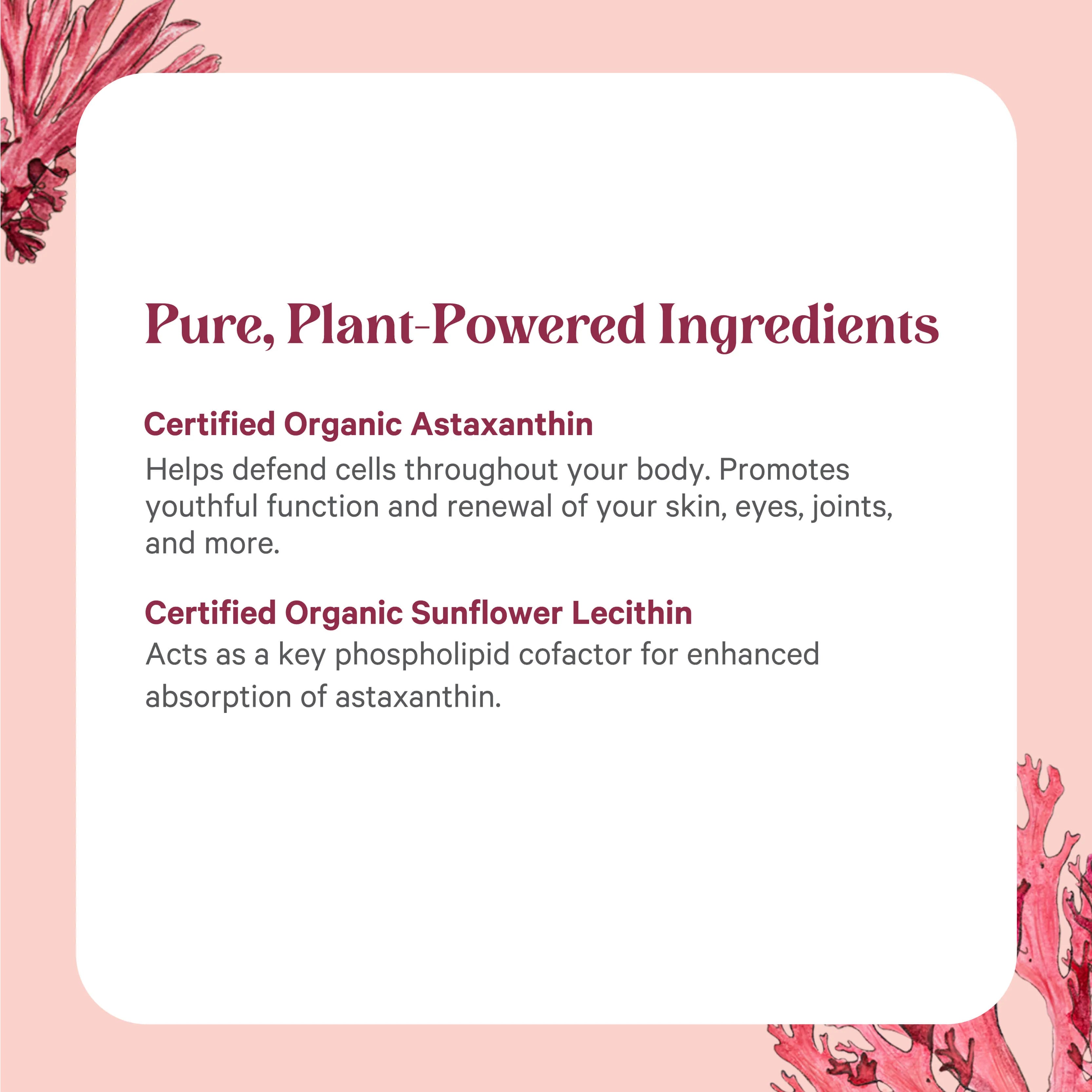 SuperPure® Astaxanthin Extract