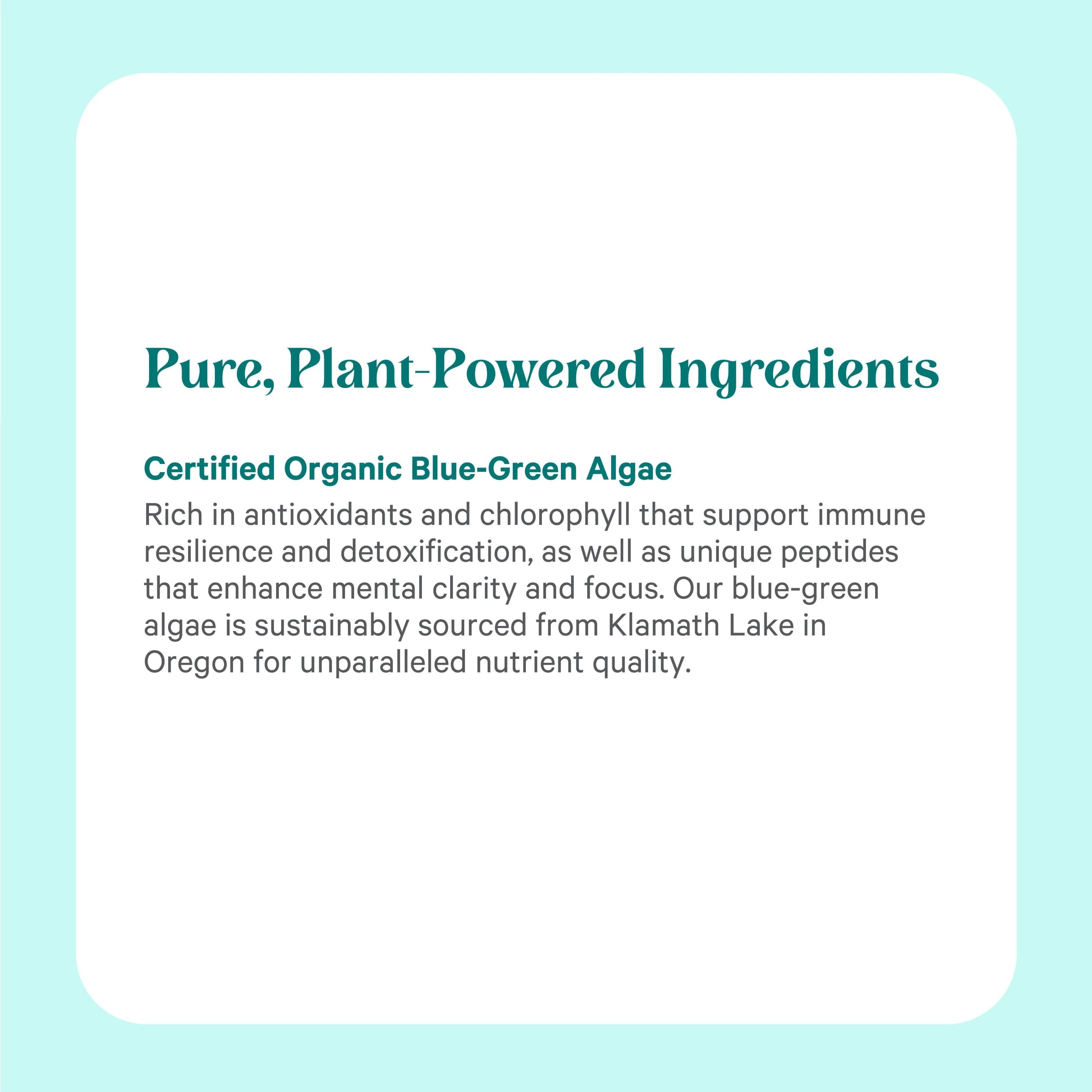 Organic Blue-Green Algae Powder