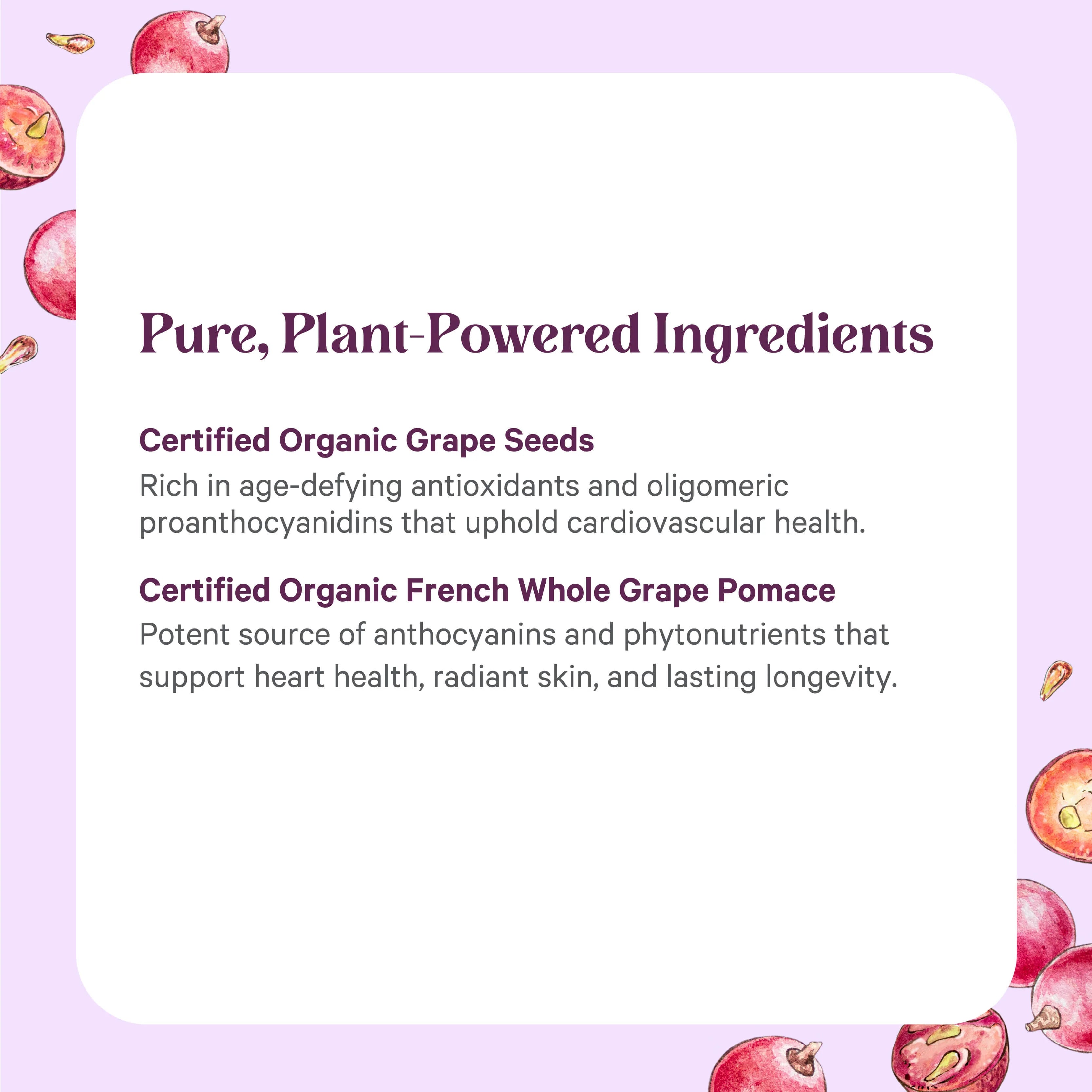 SuperPure® Grape Seed Extract