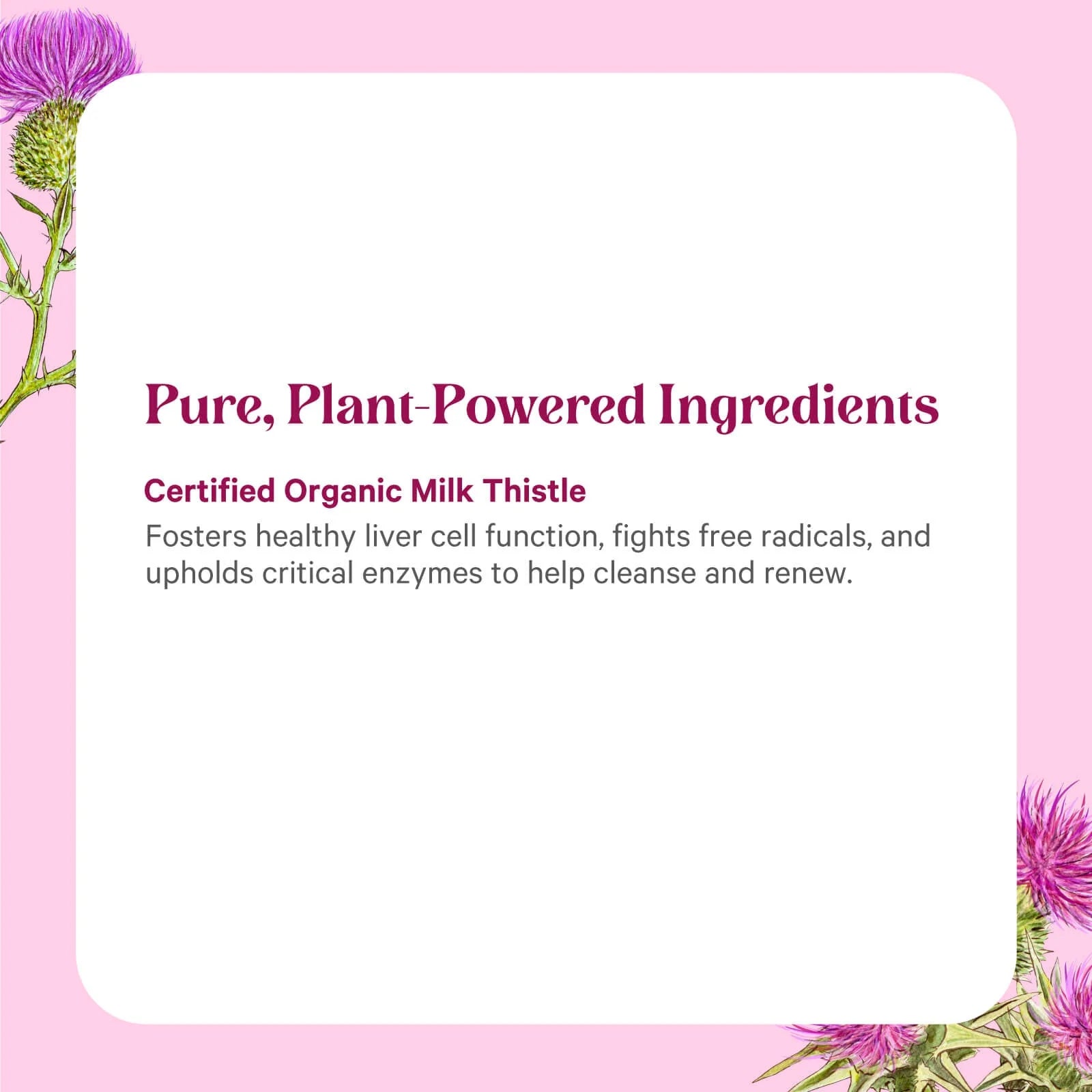 SuperPure® Milk Thistle Extract