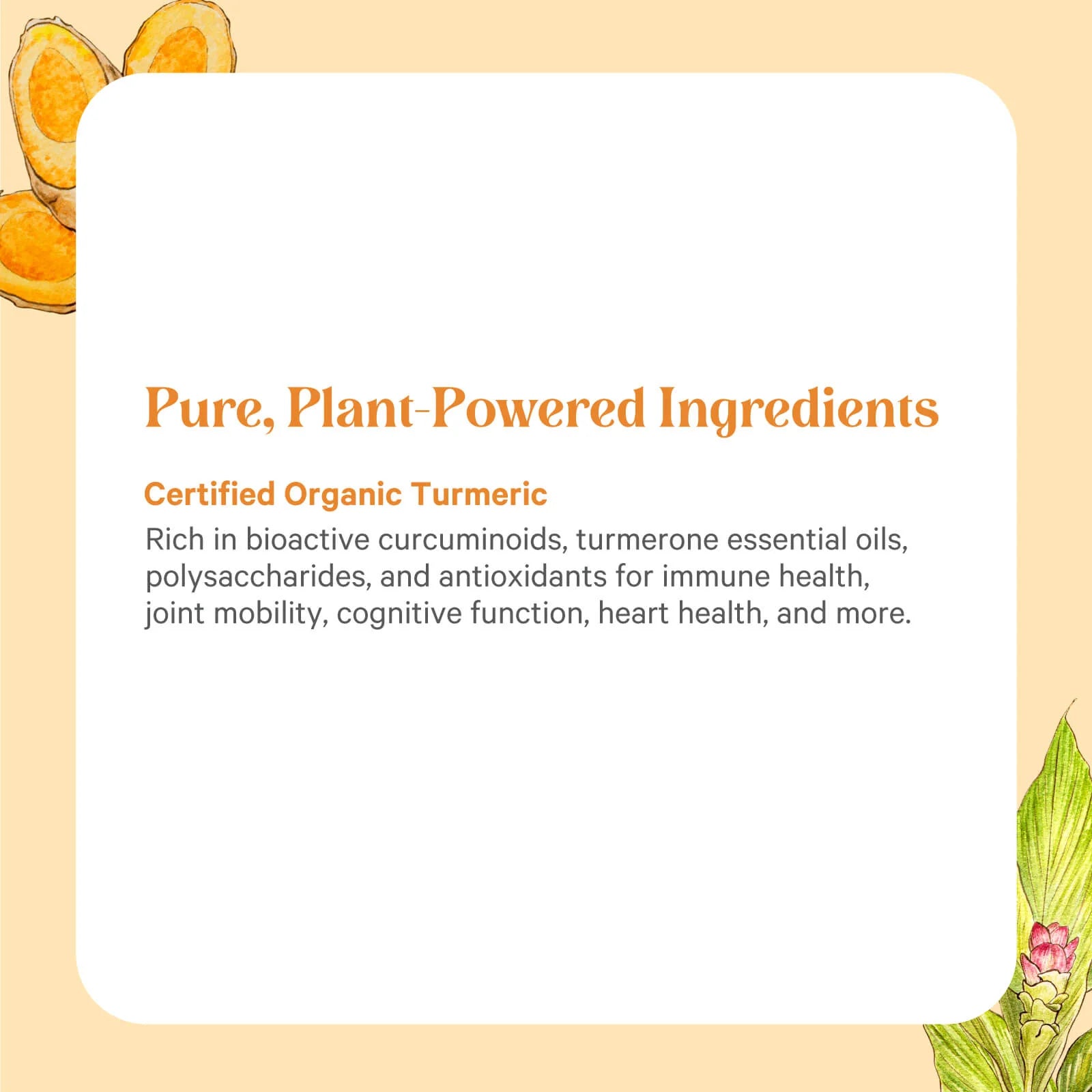 SuperPure® Turmeric Extract