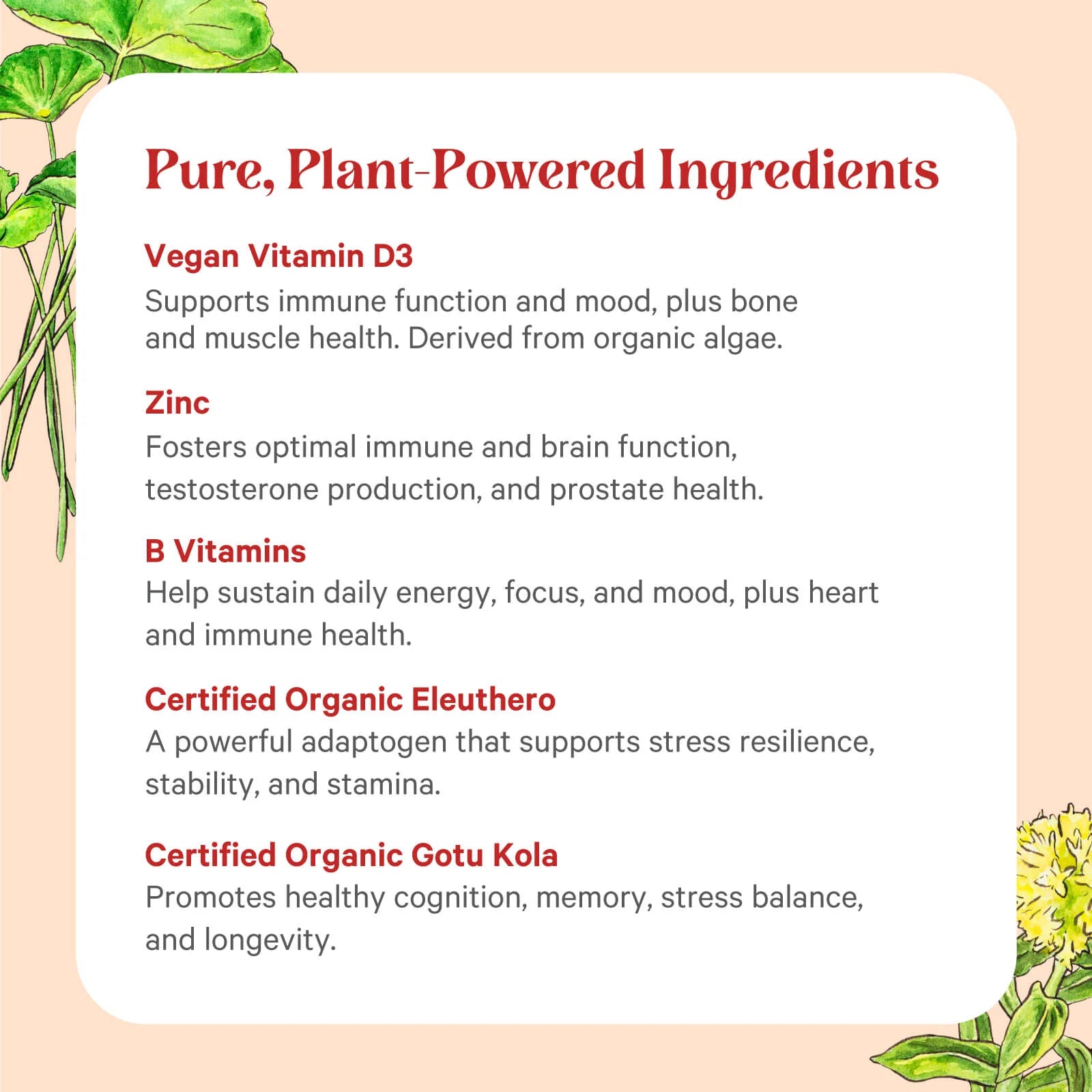 Vita•Min•Herb® For Men