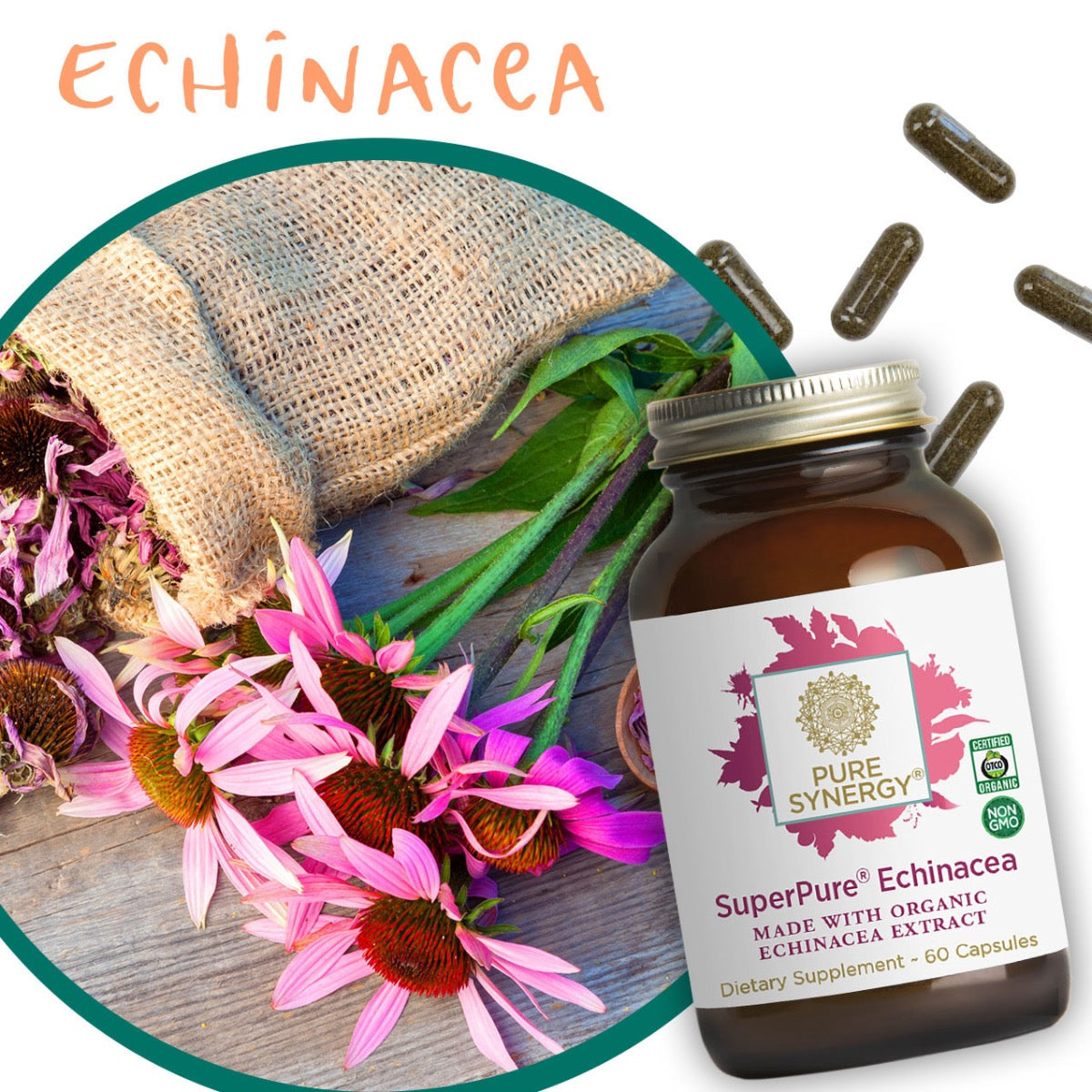 SuperPure Echinacea 60 Caps