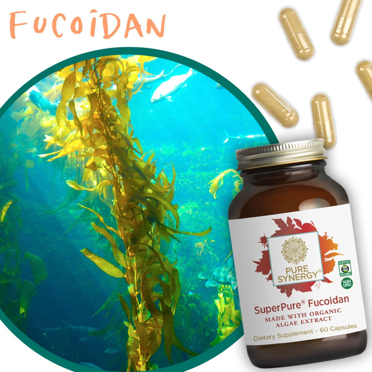 SUPERPURE® FUCOIDAN EXTRACT