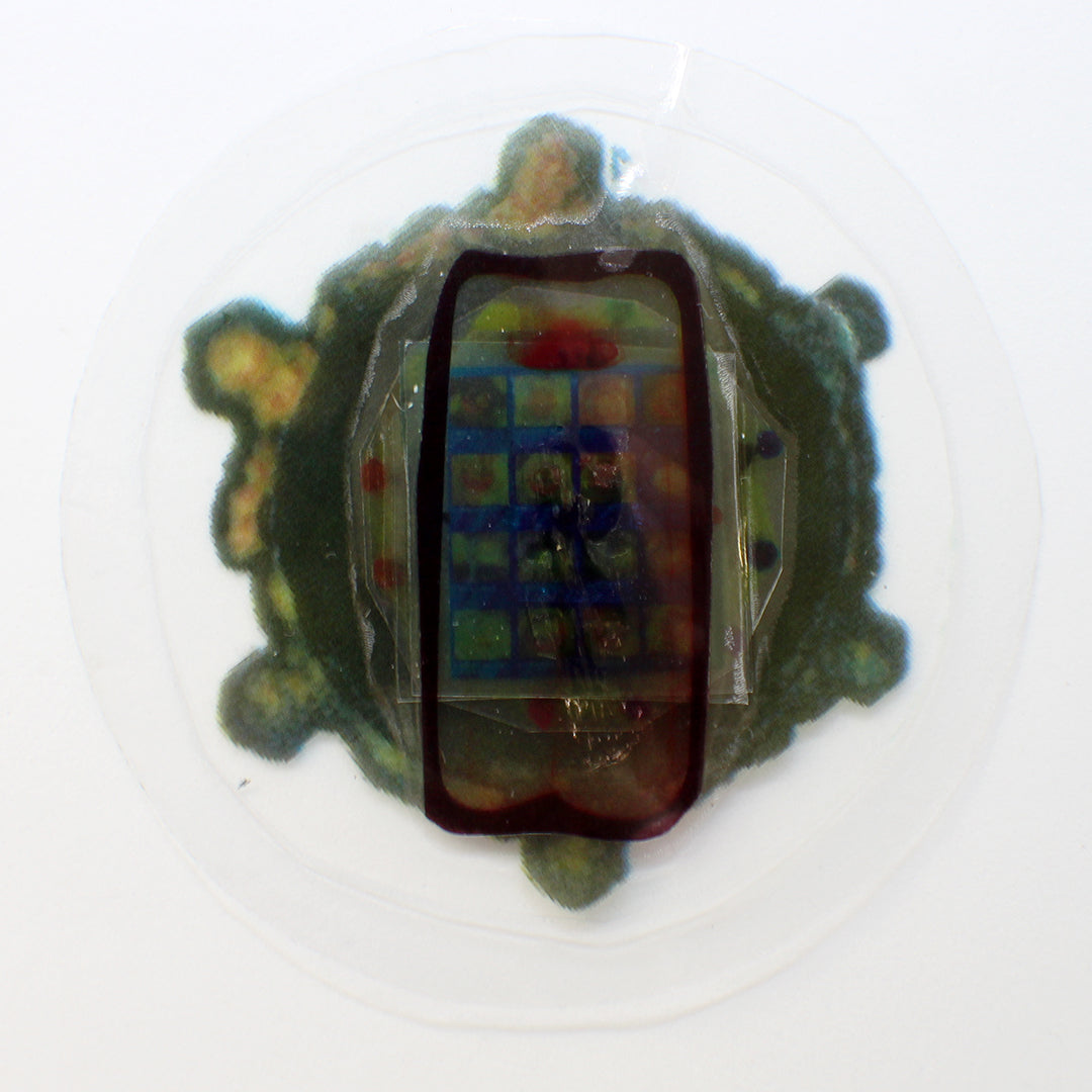 Water & Food Magnetizing Enhancer