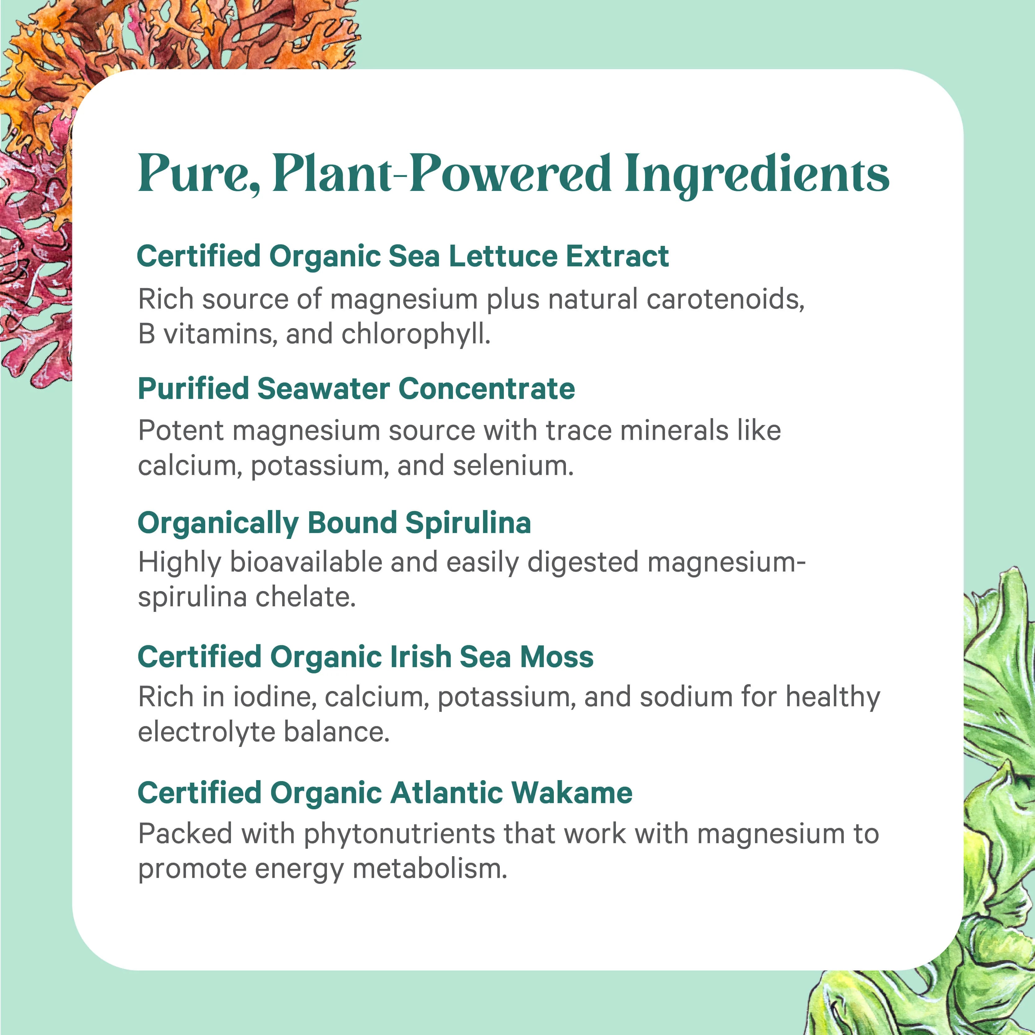 Vital Ocean Magnesium™